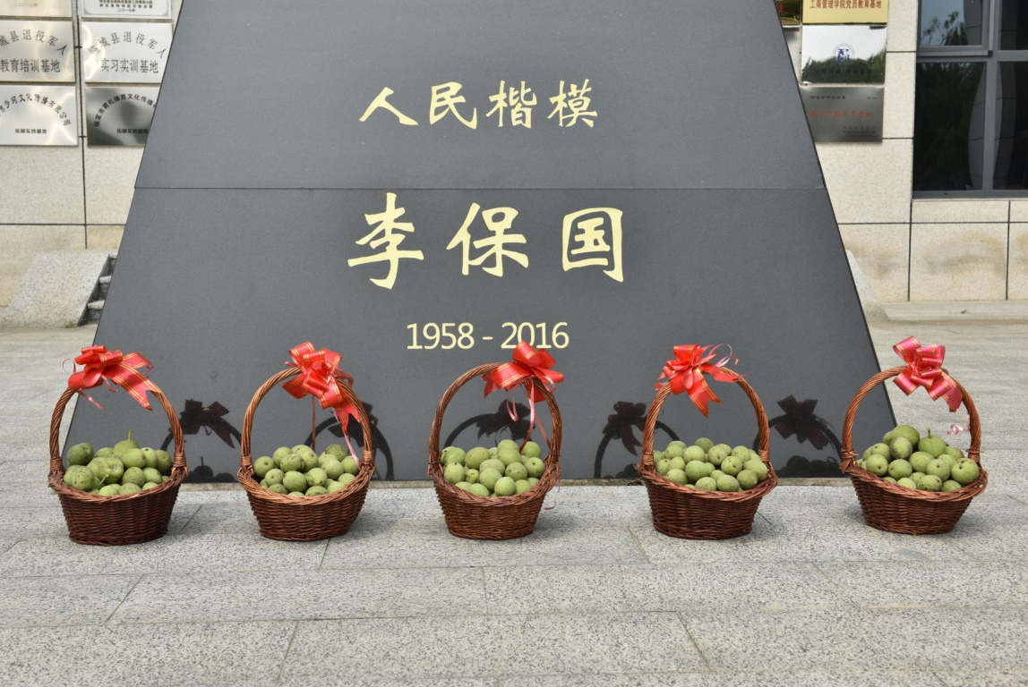 第十一屆中國(guó)核桃節(jié)在綠嶺核桃小鎮(zhèn)如約開幕